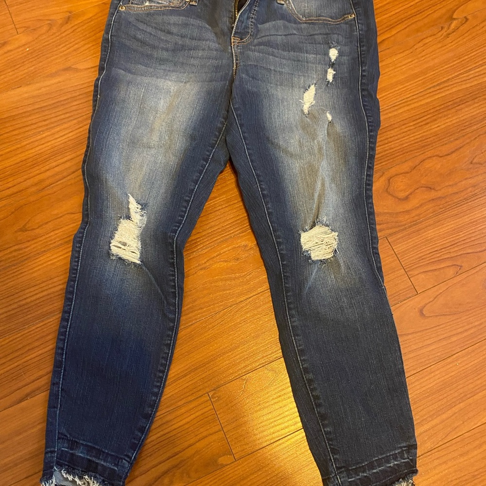 Torrid jeggings